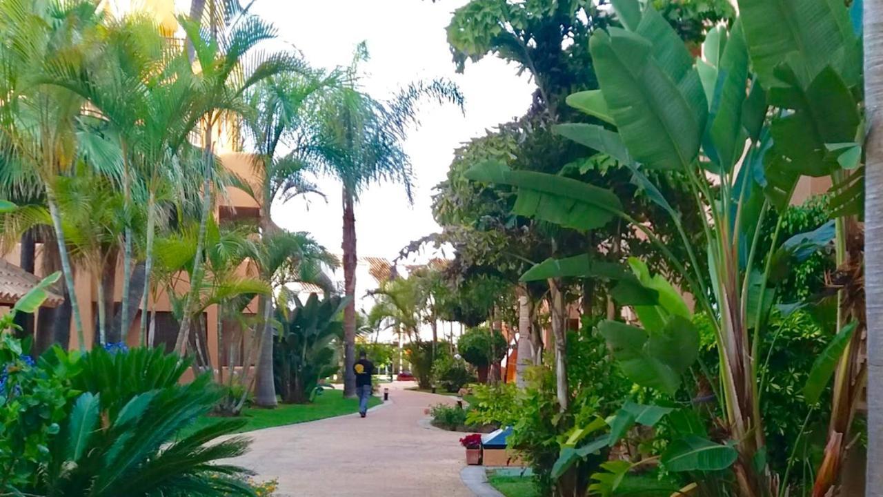 Alicate Beachfront - Luxury Apartment-1 Apartamento *